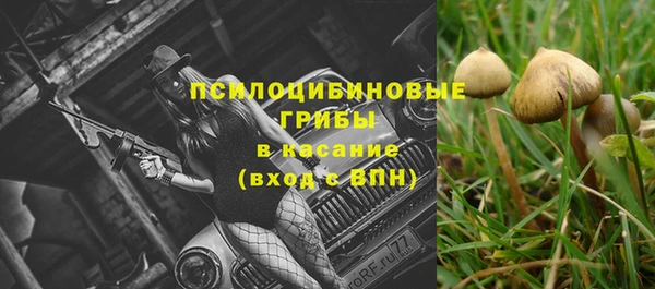 PSILOCYBIN Алексин