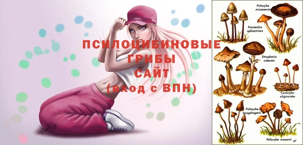 mdpv Алзамай
