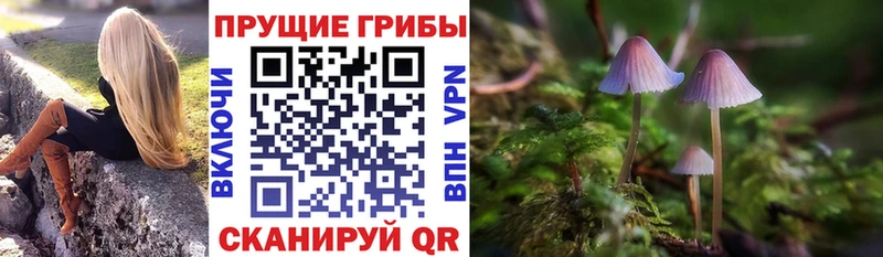 hydra зеркало  Изобильный  Псилоцибиновые грибы Psilocybe  купить  