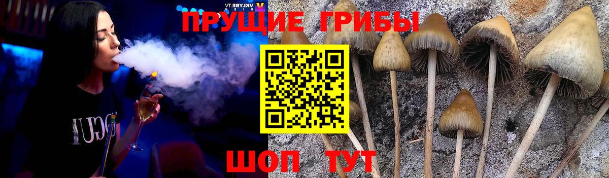 Псилоцибиновые грибы ЛСД Изобильный